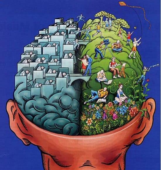 Inside a consumers brain